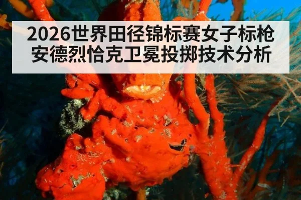 2026世界田径锦标赛女子标枪安德烈恰克卫冕投掷技术分析